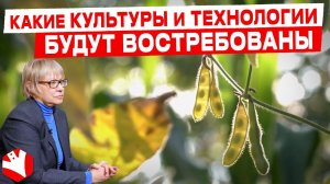 Какие культуры и технологии будут востребованы? | Агростат | КУЛЬТИВАТОР