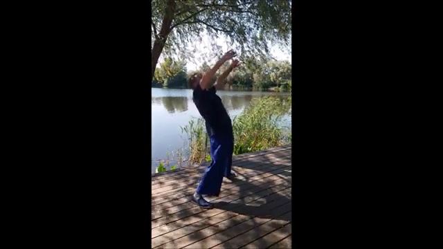 Владимир Амида: "Специальные упражнения на разработку поясницы в багуачжан". (7) смотреть онлайн