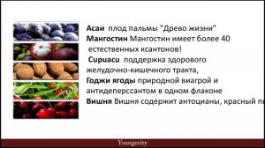 Вебинар_Горячий-Шоколад-Youngevity_Сарычева