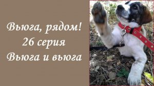 "Вьюга, рядом!" 26 серия "Вьюга и вьюга" new