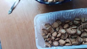 какие попадаются печенюшки в Fix prise.