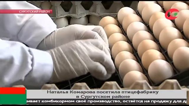 9 миллионов яиц в год несут курицы Сургутского района смотреть онлайн