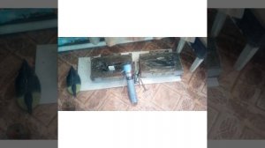 Чучела утки из монтажной пены