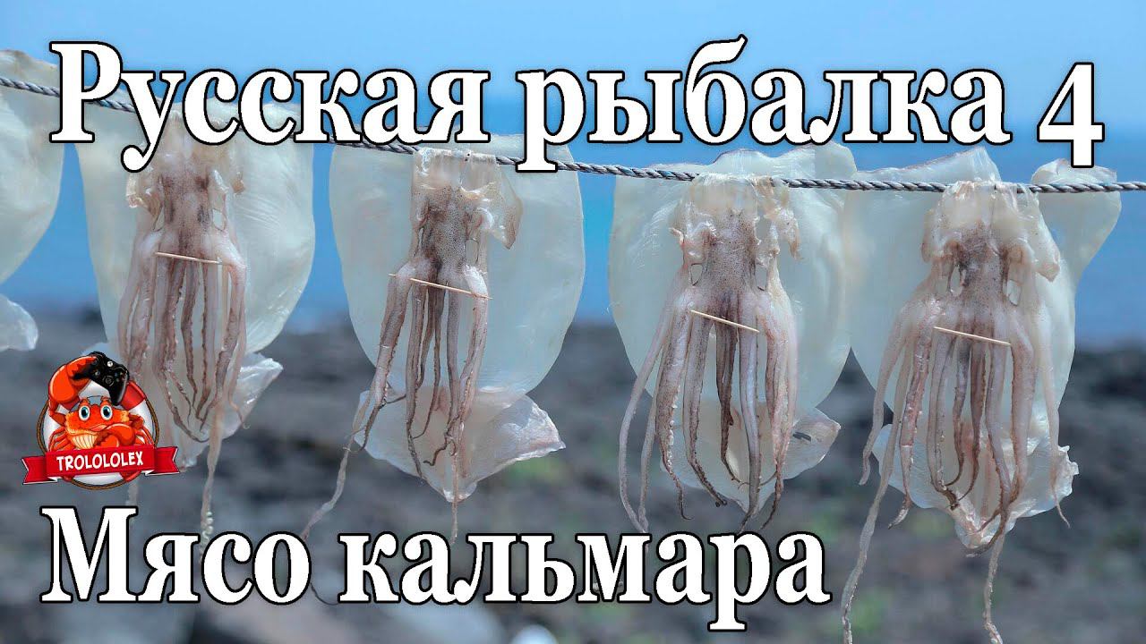 Русская рыбалка 4 Ловля на Кальмара с глубины смотреть онлайн
