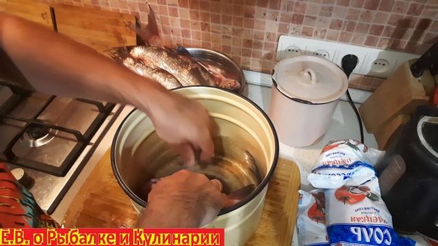 Секрет засолки лещей, подлещиков и другой рыбы в квартире, так рыба у вас никогда не испортится.