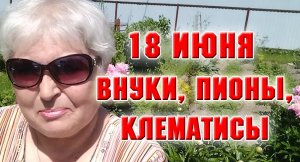 18 июня. Пионы, клематисы, внуки