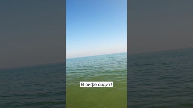 КРУПНАЯ рыба ЛЕГКУЮ удочку! Морская рыбалка на спиннинг с берега