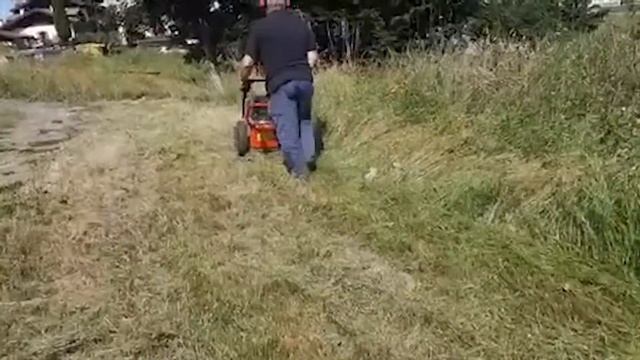 Funktionsvideo - Hochgrasmäher Wiesenmäher Domino Honda Motor GCV 200 смотреть онлайн