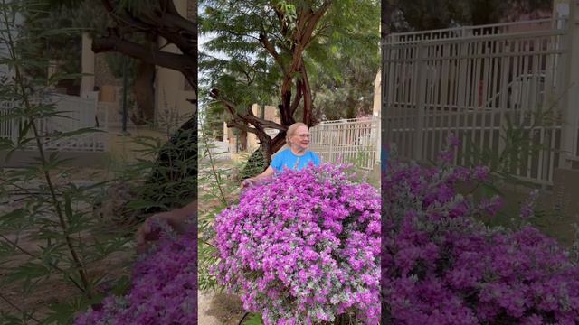 Приветствую с Мертвого моря моих подписчиков,гостей и просто хороших людей😘🇮🇱🙋♀️ смотреть онлайн