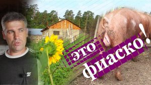 ХРЯЧЕК С ОДНИМ ЯЙЦОМ.mp4