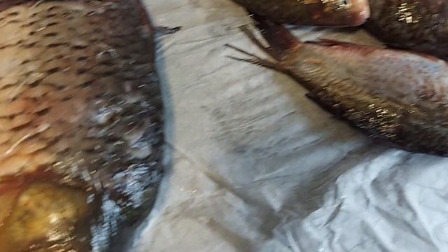 Рыбный день - Четверг, 23 сентября 2022.