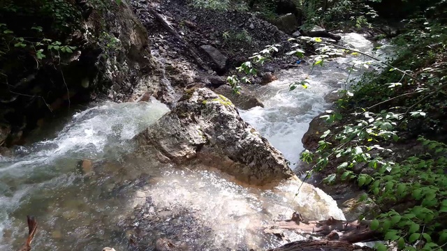 20170524_094901 смотреть онлайн