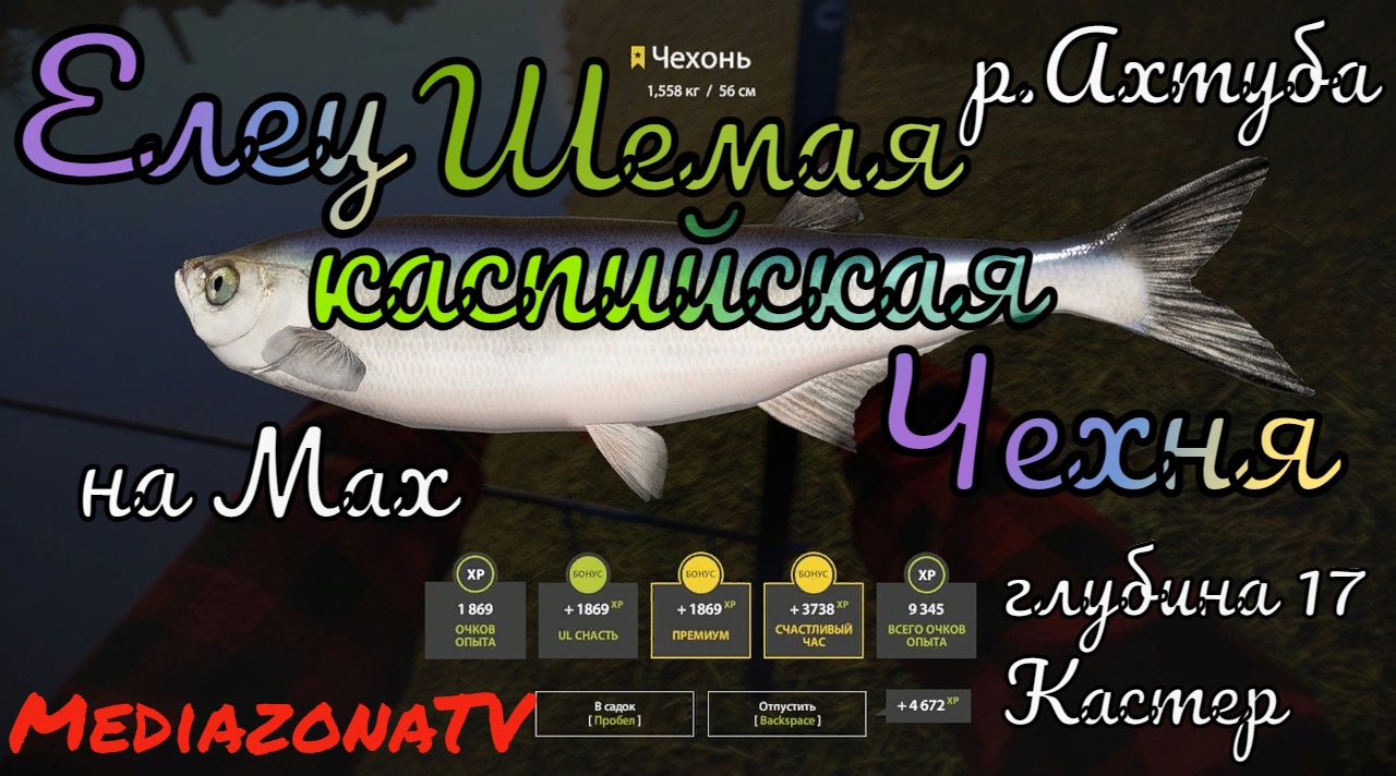 Мах рр4. Русская рыбалка 4 таймень. Чехонь рр4. Ахтуба рр4. Мах рр4.