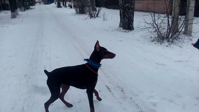 о тот как надо бояться петард смотреть онлайн