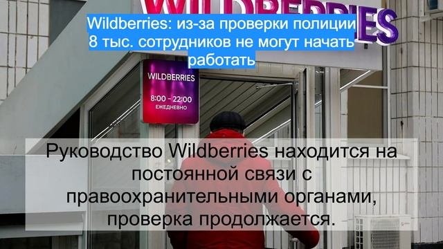 Wildberries: из-за проверки полиции 8 тыс. сотрудников не могут начать работать