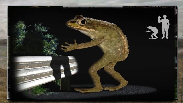WHAT IS THE FROGMAN? Cryptozoology And The Story Of The Loveland's Frogman