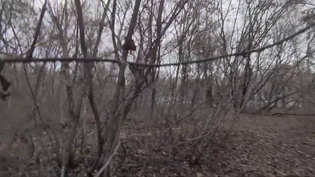 Вызов Духов!Согнутый человек! Хруст веток!