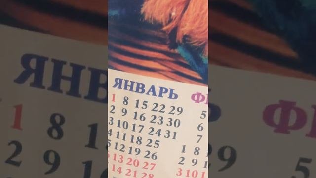 ОБЗОР НА КАЛЕНДАРЬ/НАСТЕННЫЙ КАЛЕНДАРЬ 2018
