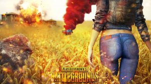 Коротко о том как меня и моих подписчиков встретил PUBG...