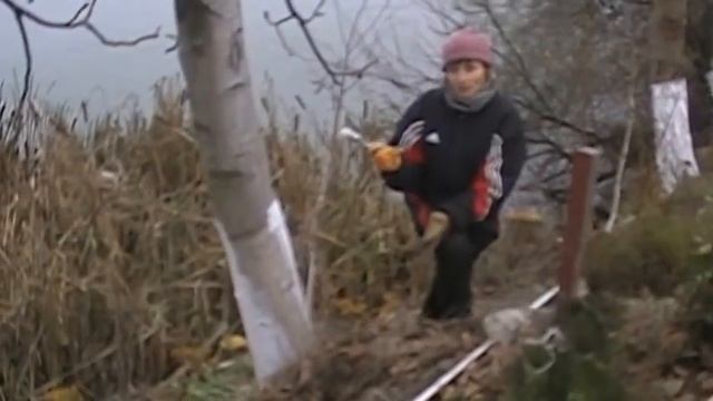 побелка деревьев в ноябре фасадной краской