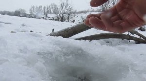 Солнечный окунь , ловля на мормышку