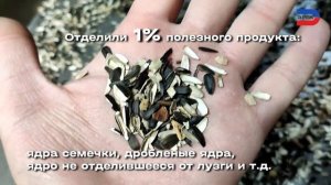 Сепарация лузги подсолнечника и мелкого сора: отделение лузги, сора от ядра