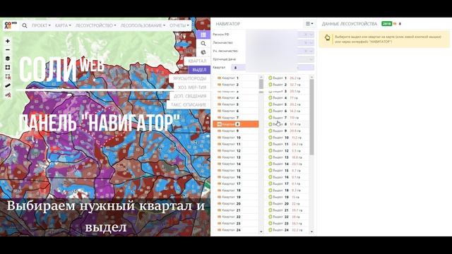 Панель навигации по лесоустроительным данным в СОЛИweb