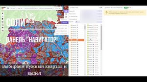 Панель навигации по лесоустроительным данным в СОЛИweb
