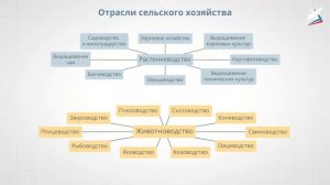 РЭШ Окружающий мир Урок 13 Класс 2