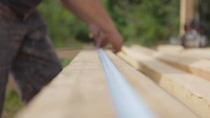 Дальневосточный гектар: история успеха Алексея Жучкова