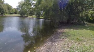 Ranch Pond Adventure! 3 Inch Gulp Minnow, Mepps Aglia Long #1, And The Northland Tackle Mayfly!