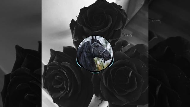 Соловей - Ваня Лобано и Толя Хохленгиро смотреть онлайн