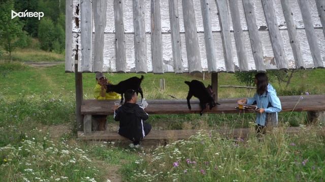 Карпаты - Рискованное Восхождение на ГОРУ с годовалым ребенком смотреть онлайн