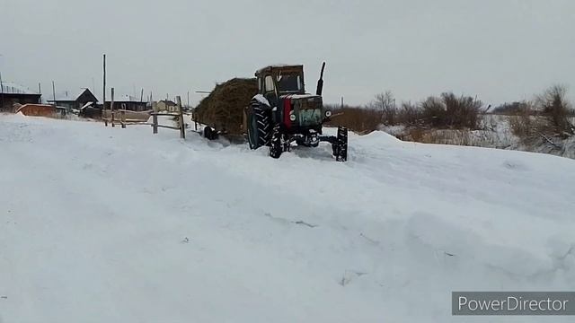 #т40ам ездили за сеном смотреть онлайн