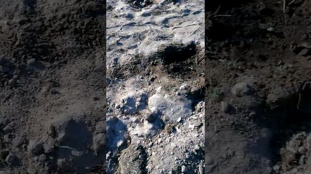 Чем нас травят? смотреть онлайн