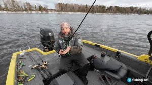 Поговорим про спиннинги для рыбалки с panoptix и active target