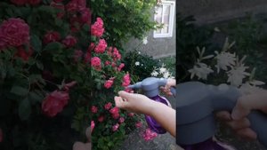 Опрыскиватель, пульверизатор ручной аккумуляторный, в комплекте зарядка и две насадки, объем 2,5 л
