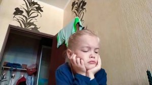 Слезы за решением заданий школьной программы. Все тяготы семейного образования?