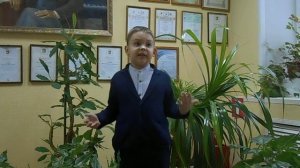 Владимир Степанов "Родные просторы". Читает Матвей Цыпленков