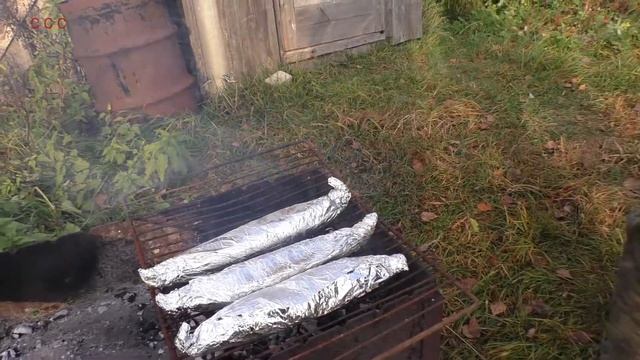 БАТЯ И МАКРЕЛЬ НА РЕШЕТКЕ / полезная и дешёвая рыба / древние меха для раздувания огня