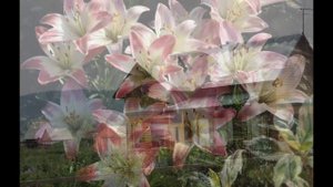 Жители славного села Тюхтят