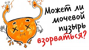 Может ли мочевой пузырь ВЗОРВАТЬСЯ? — Научпок