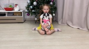 ЧЕЛЛЕНДЖ!
Весь день СОБАКА УПРАВЛЯЕТ МНОЙ! Каким будет мой день?
СмеШное видео для детей