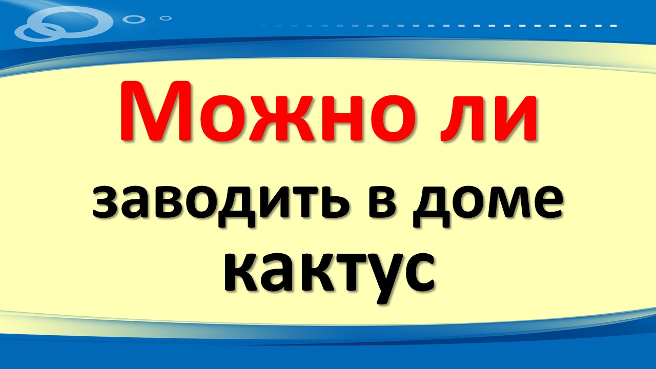 Можно ли заводить в доме кактус. Кактус в доме - это талисман для семьи. Оберег для дома. Народные п