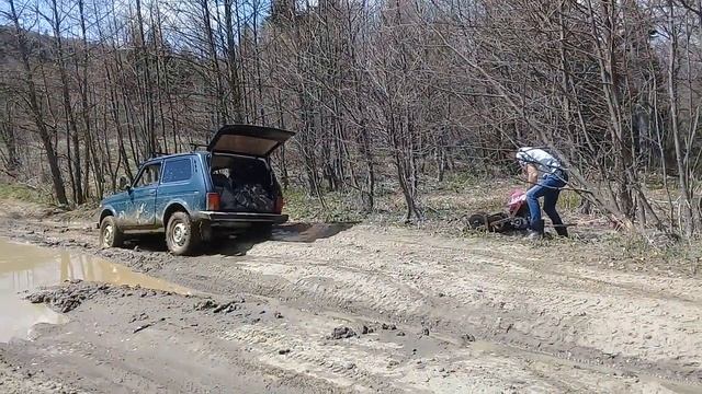 #бамбаки#селинамосты смотреть онлайн