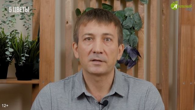Какие овощи и цветы сажать на рассаду в феврале? Что посеять в феврале на рассаду