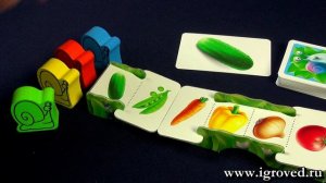 Гонка улиток. Обзор настольной игры от Игроведа