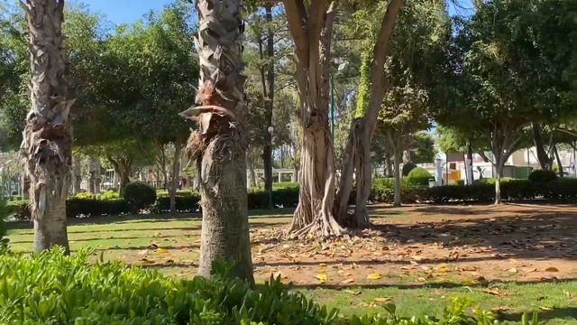 Walking in Municipal Park in Limassol, Cyprus смотреть онлайн