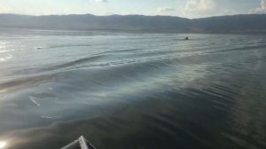 Гусиноозерск июль 2020 катер Амур (восток)