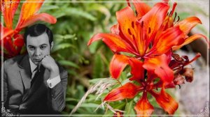 Есть глаза у цветов Муслим Магомаев,  О.Фельцман,  Р.Гамзатов